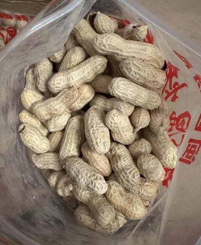 龍巖溼花生製作