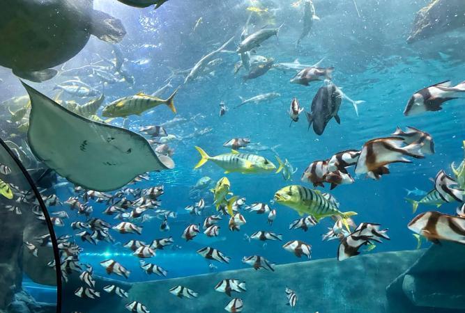 羅源灣海洋世界