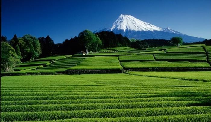 富士山7大人氣打卡秘境景點推薦：山腳絕景溫泉、富士山前盪鞦韆 post thumbnail image