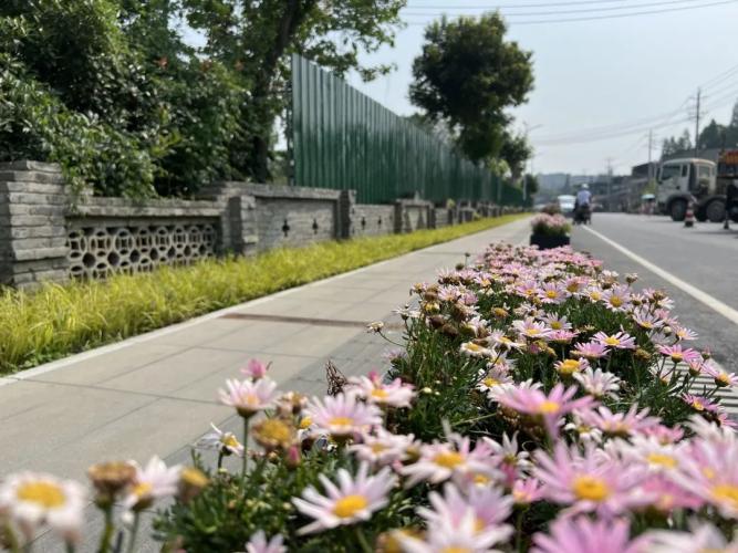 又有新進展！雙流板橋“吃街”即將全新亮相 post thumbnail image